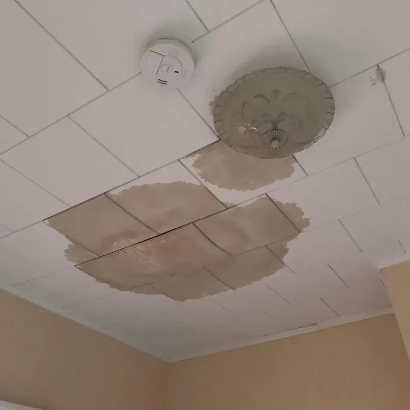 Ceiling Water Damage Repair in Leoti, KS