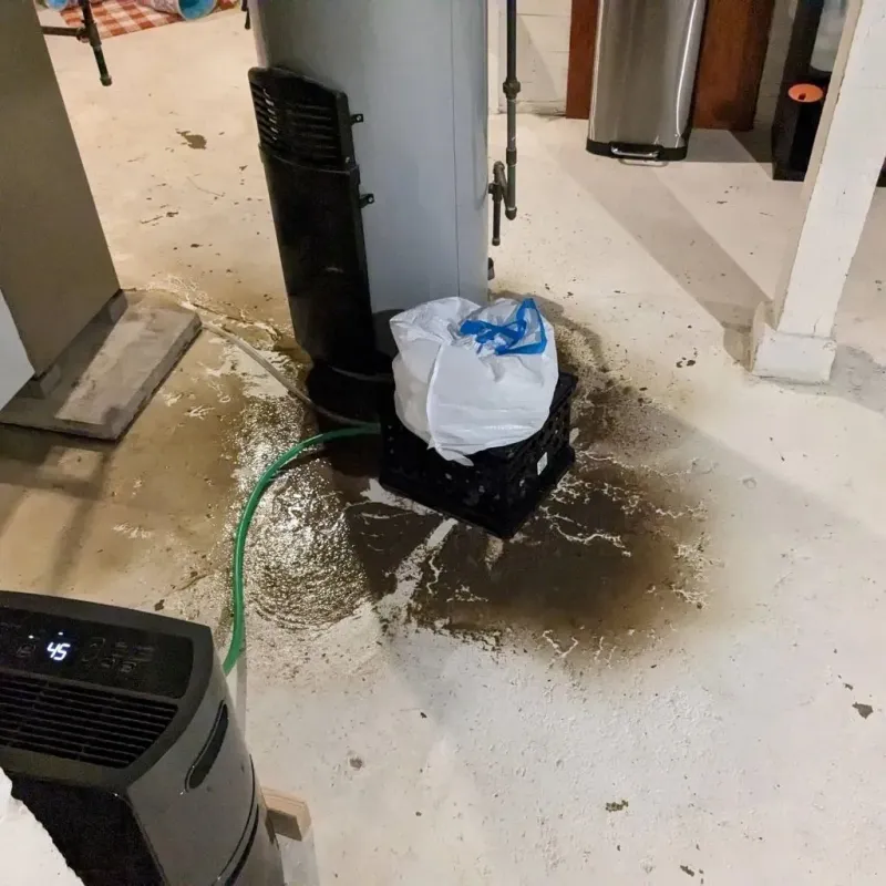Sewage Backup Cleanup Service in Leoti, KS